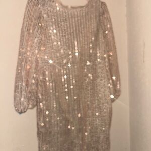 Sparkling Sequin Dress